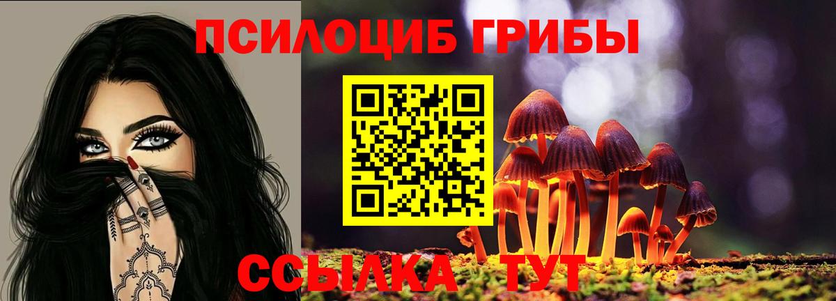 Псилоцибиновые грибы Cubensis  Вход с VPN  Элиста 
